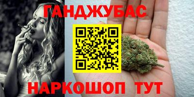 трава Кингисепп