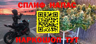 трава Кингисепп