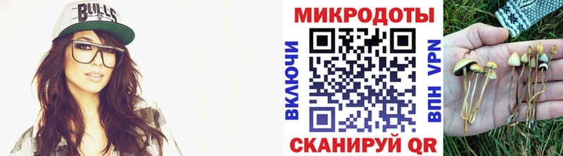 Псилоцибиновые грибы Psilocybine cubensis  цены   Тамбов 