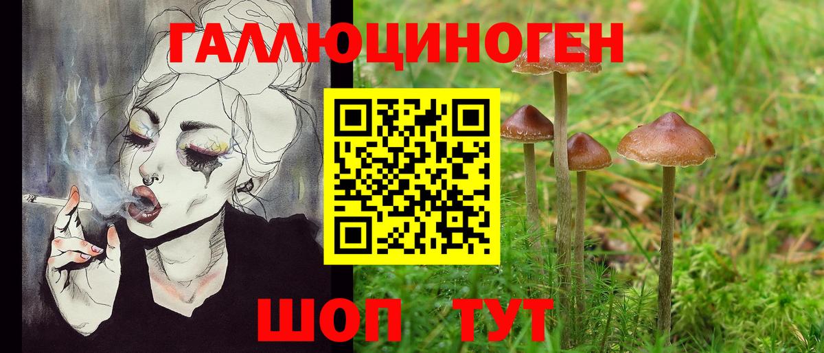 Конопля Тамбов