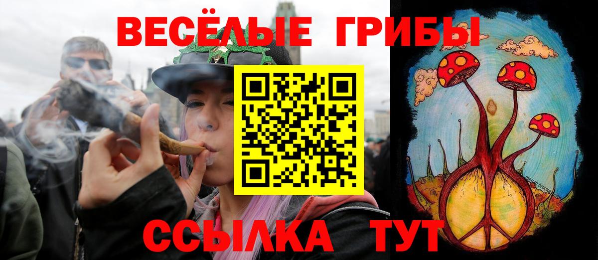 Галлюциногенные грибы GOLDEN TEACHER Тамбов